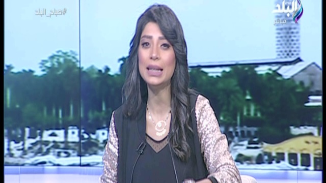 الاعلامية لميس سلامة