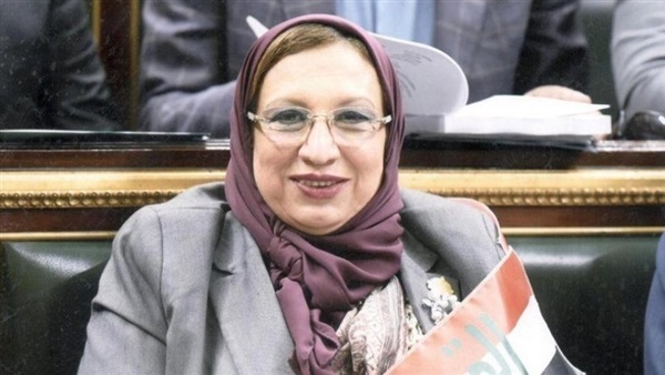 النائبة ايناس عبد الحليم، عضو مجلس النواب