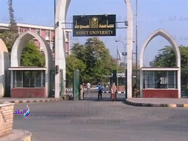 جامعة أسيوط