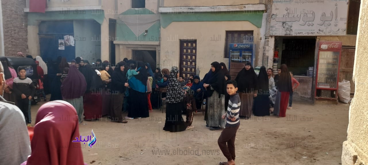 انتخابات مجلس النواب