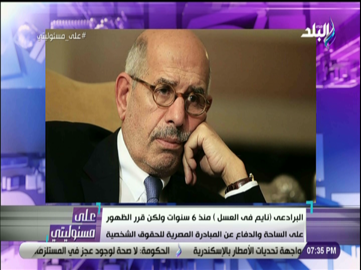البرادعي 