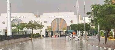 استاد القاهرة