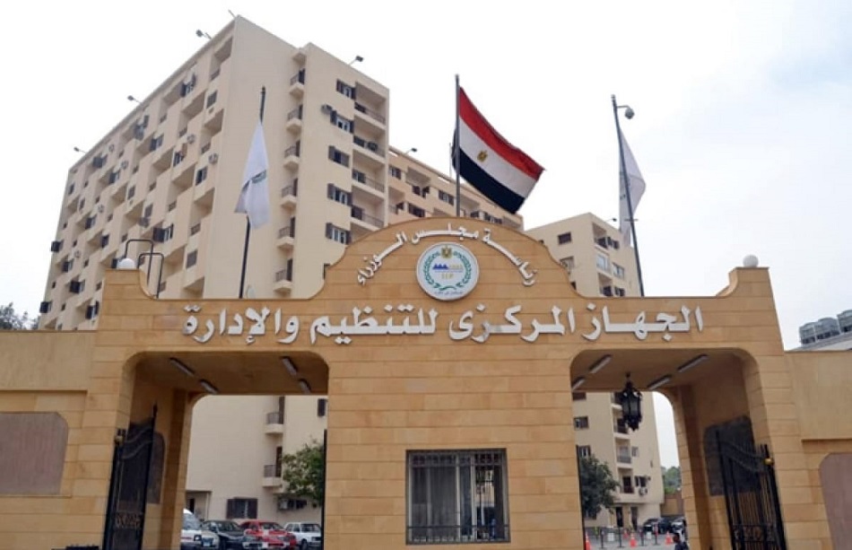 التنظيم والإدارة