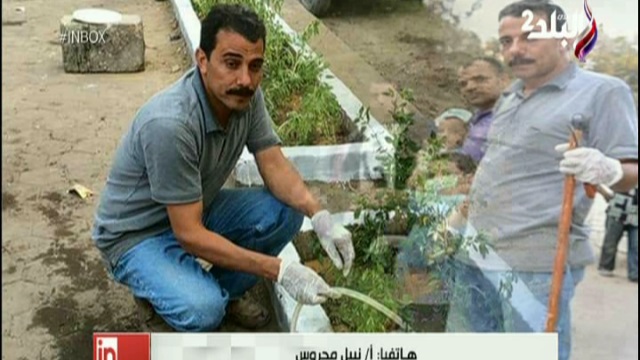 مبادرة ازرع شجرة