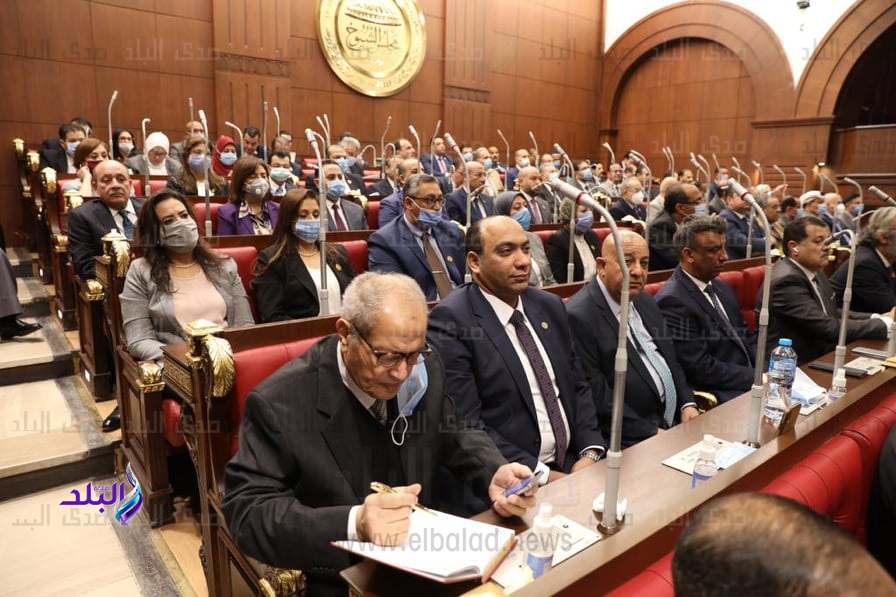 مجلس الشيوخ