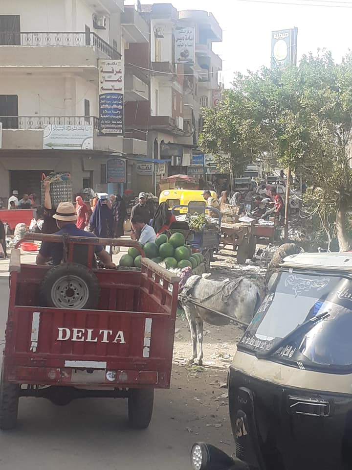 سوق الأربعاء بسنهور 