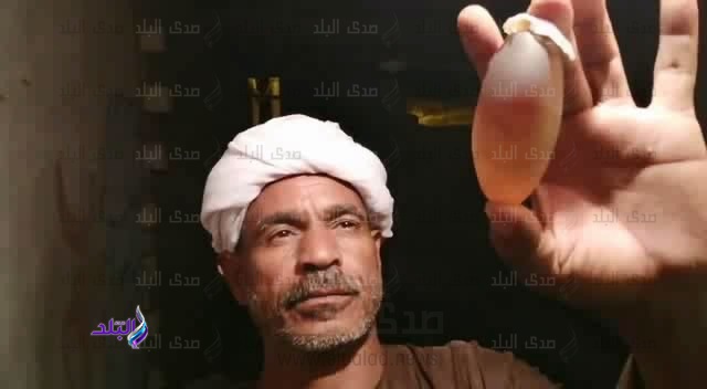 الحجر