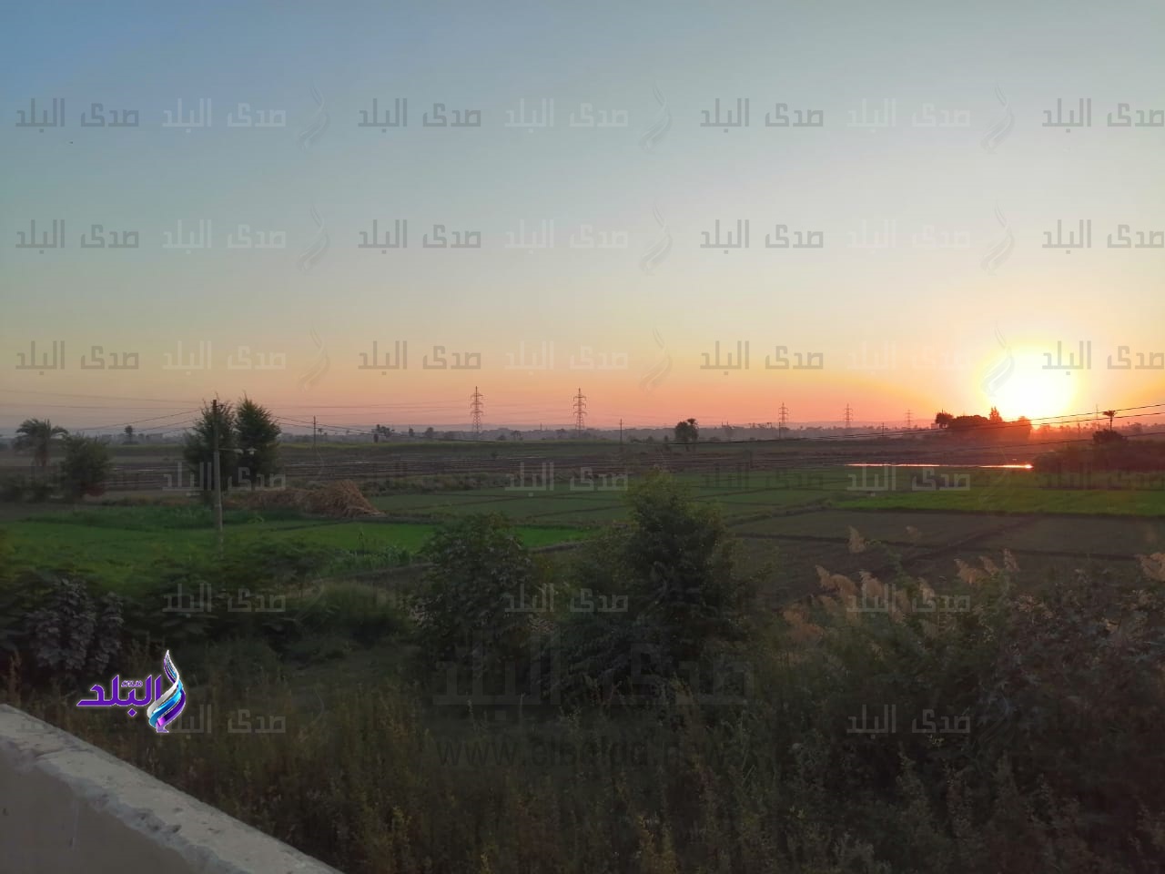 مزرعة جزيرة شندويل