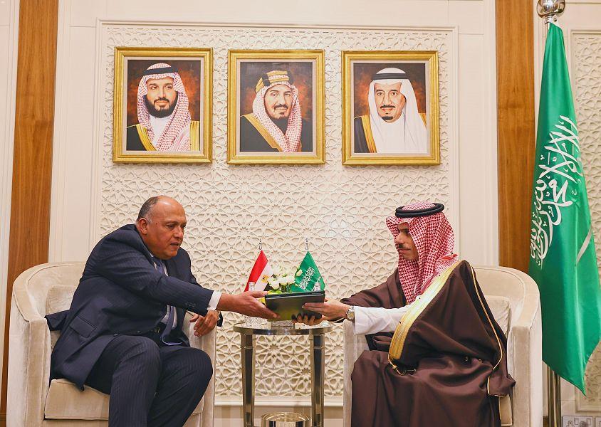 فيصل بن فرحان وسامح شكري
