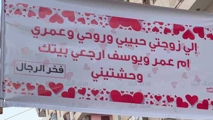  لافتة بشوارع المنوفية
