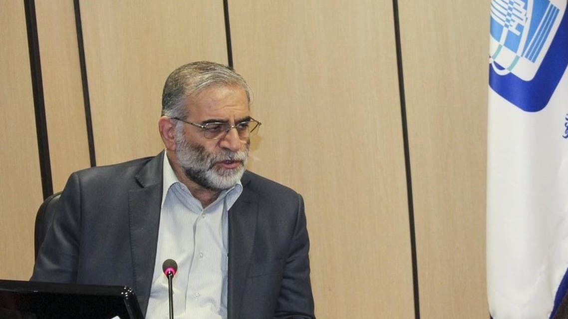 محسن فخري زاده
