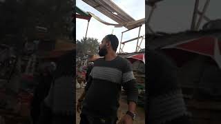 اخبار الفن