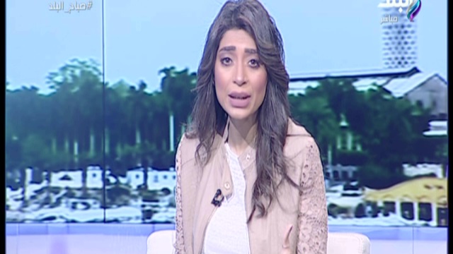 الإعلامية لميس سلامة 