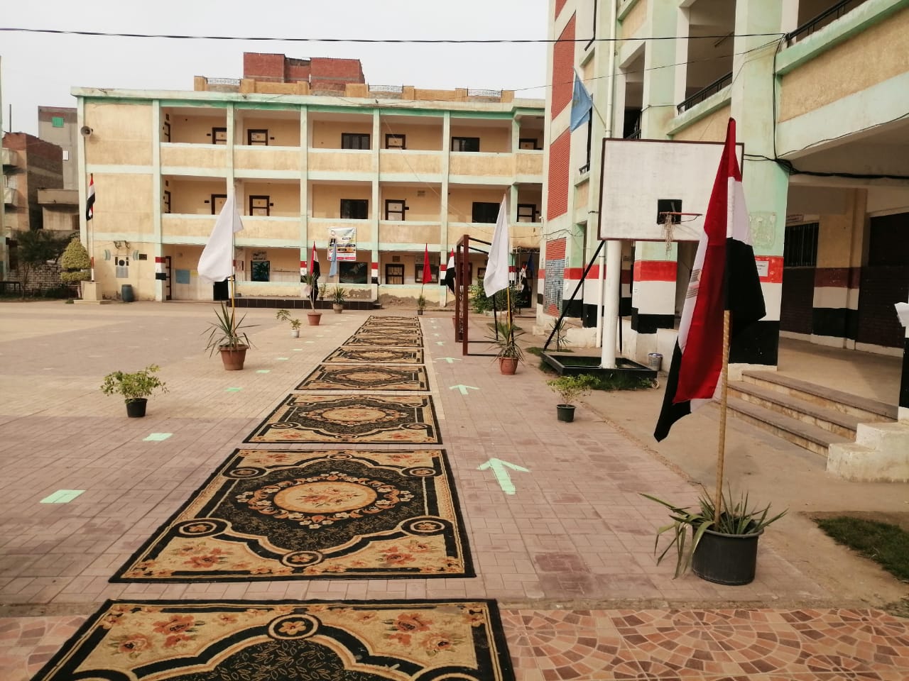 استعدادات انتخابات النواب 