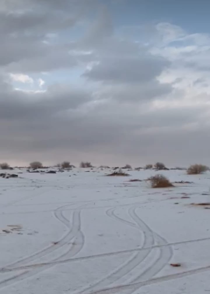 الثلوج تغطي شمال السعودية 