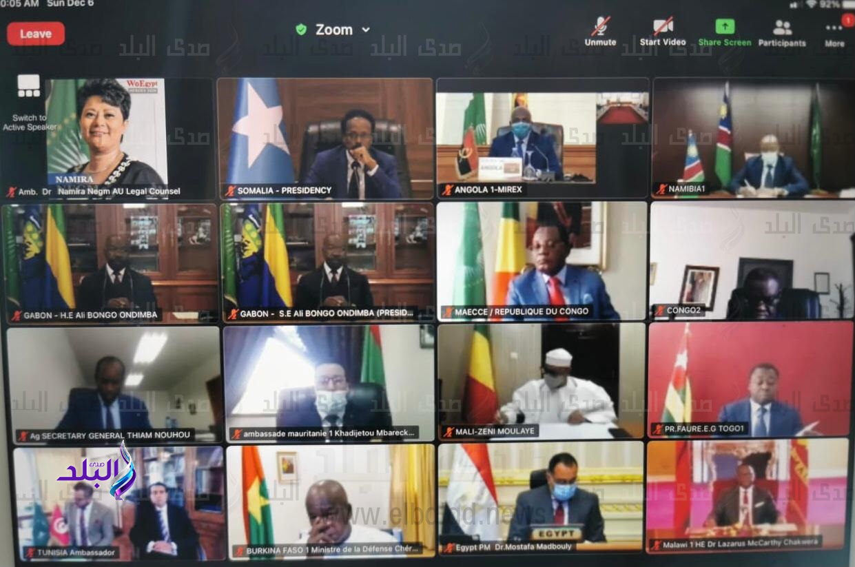 القمة الأفريقية الاستثنائية