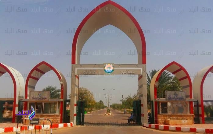 جامعة اسوان 