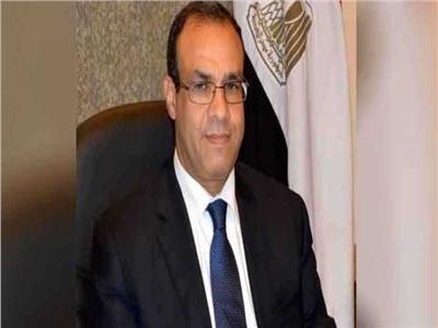 السفير بدر عبد العاطى 