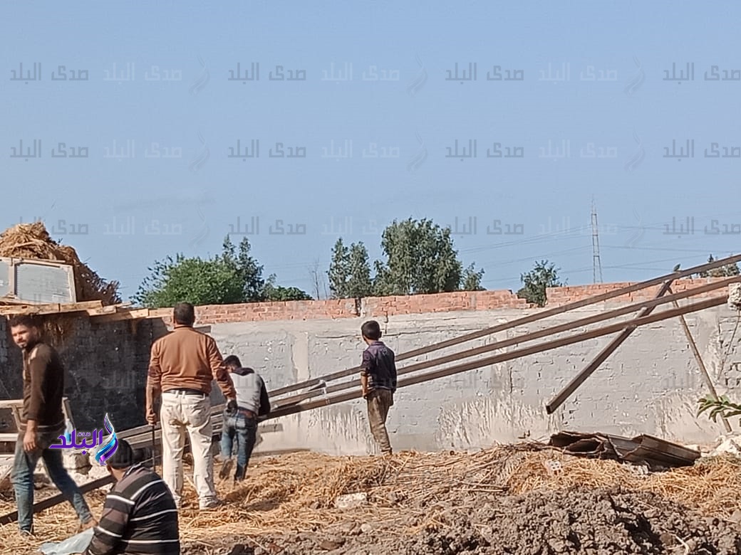 ازالة تعديات