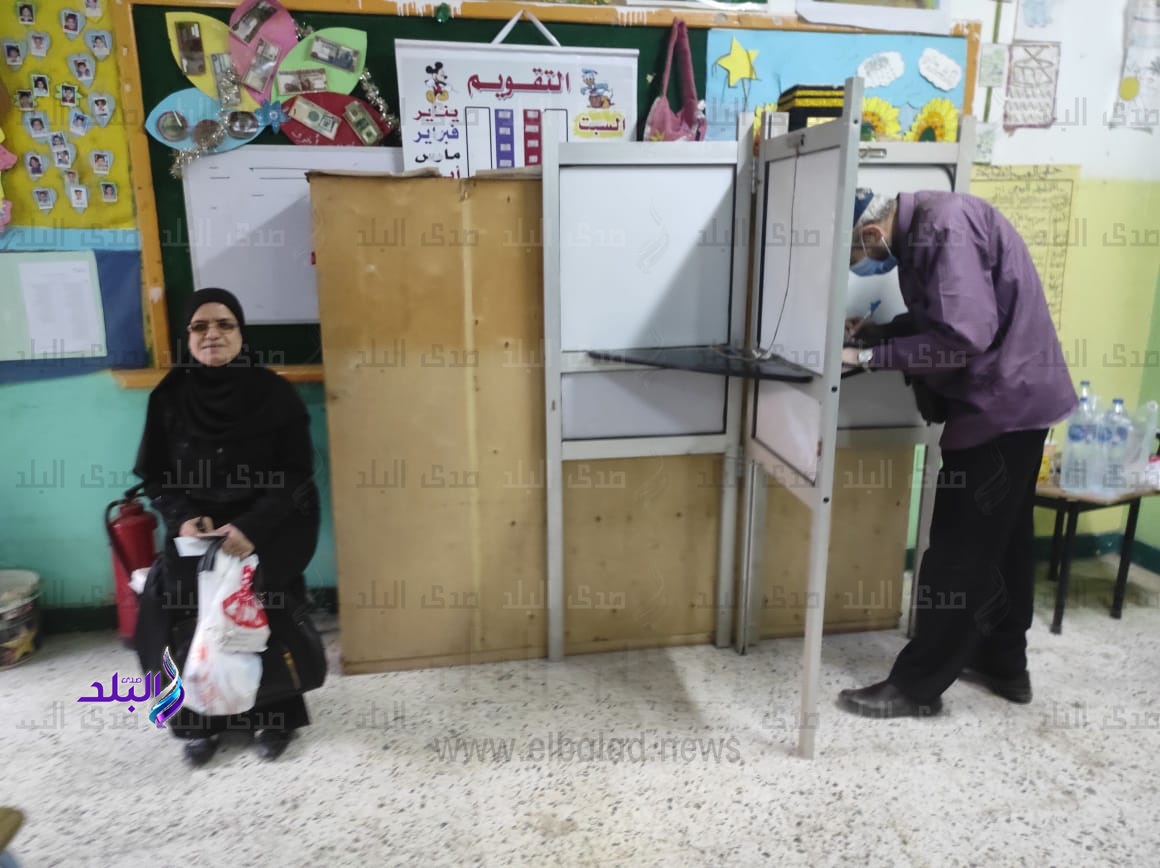 انتخابات مجلس النواب