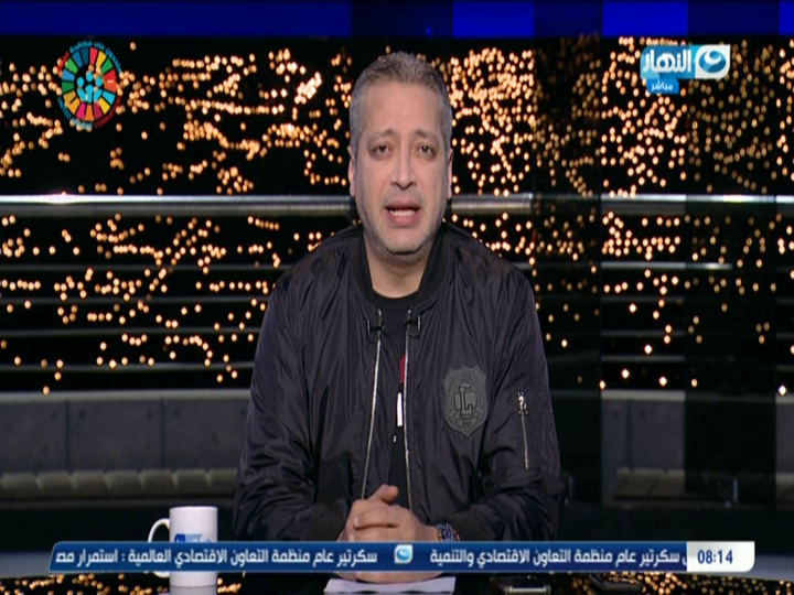 تامر امين 