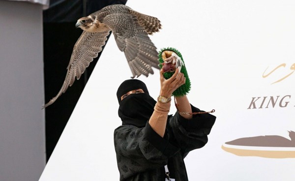 اول سعودية تشارك في مهرجان للصقور 