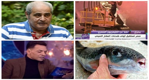 أخبار التوك شو