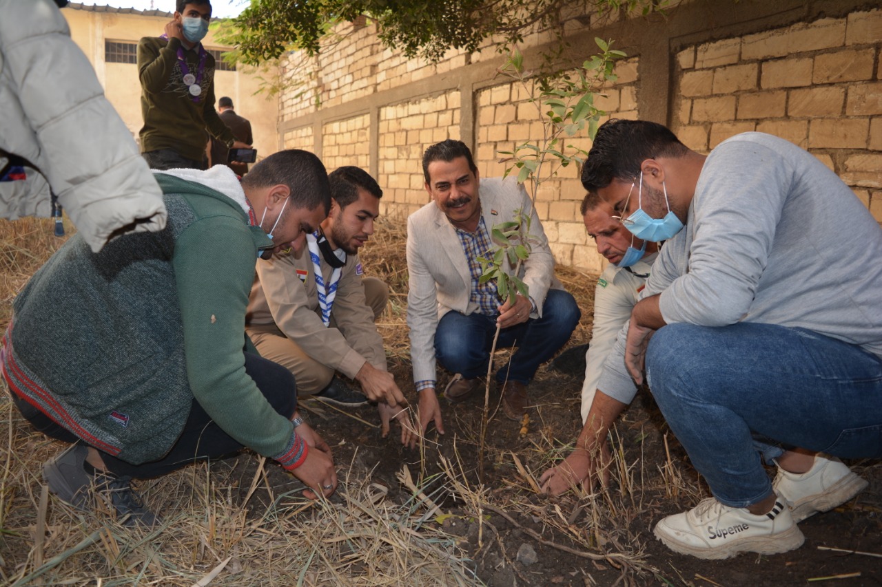 زراعة أشجار المورينجا 