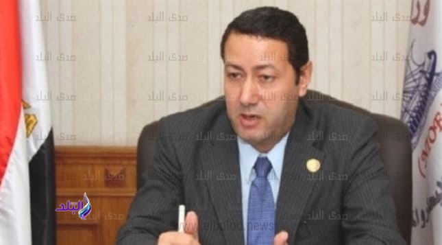 رئيس المعهد القومي للبحوث الفلكية 