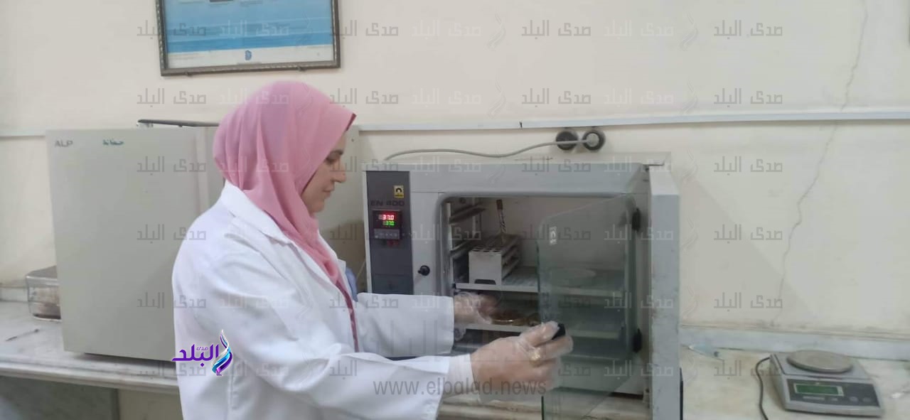 التأمين علي ١١٧٩٤ رأس ماشية بالبحيرة