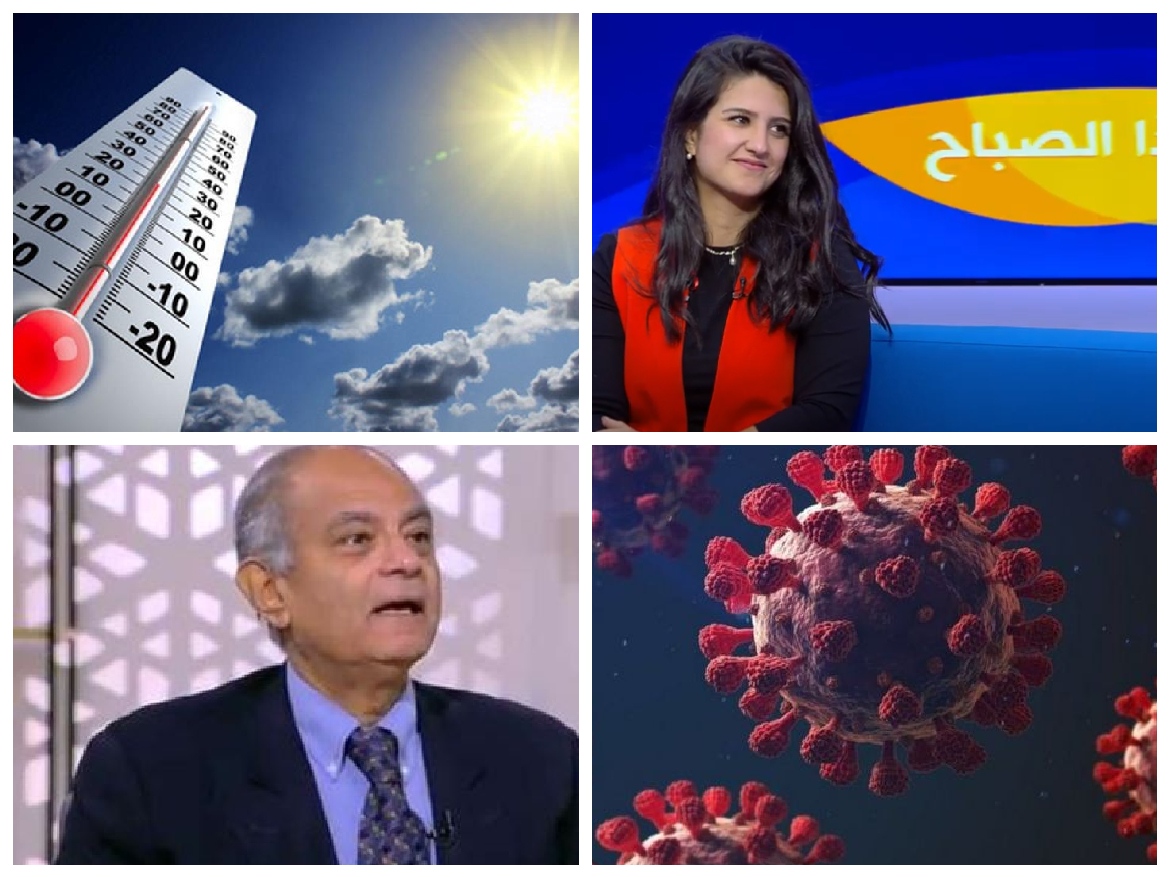 أخبار التوك شو 