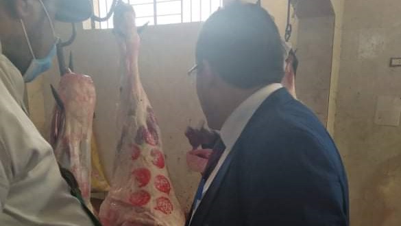 جولة تفقدية لمدير الطب البيطري في الأقصر