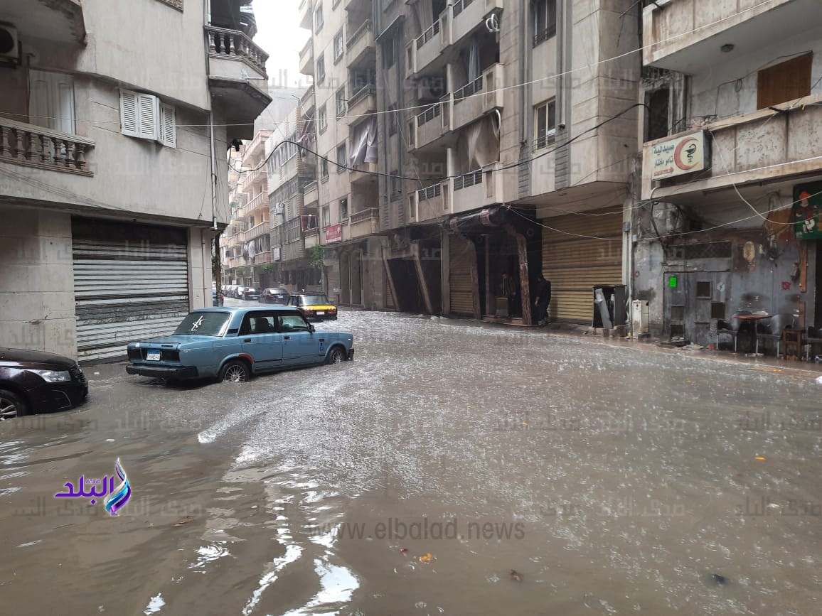 شوارع اسكندرية 
