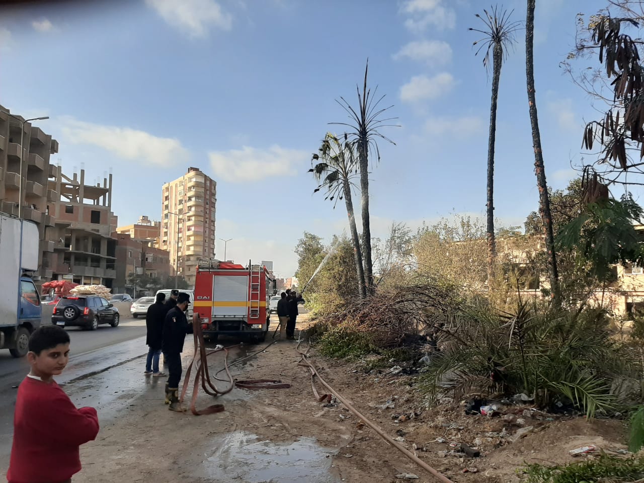 السيطرة على حريق شب فى اشجار النخيل