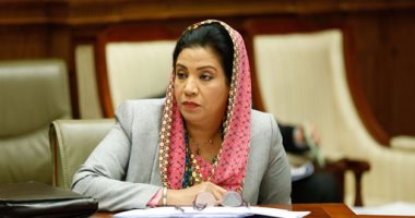 النائبة، نشوى الديب عضو لجنة الثقافة والإعلام بالبرلمان