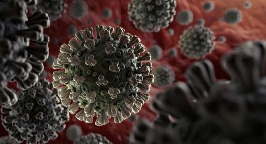 فيروس كورونا 