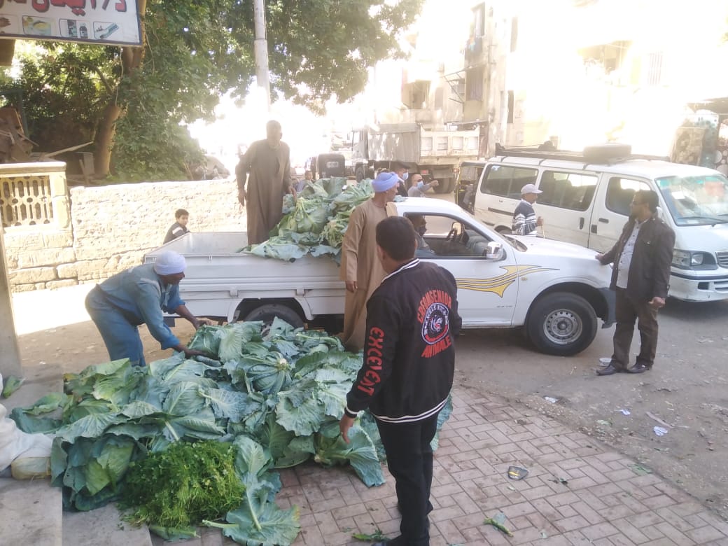 حملة مرافق مكبرة في الأقصر