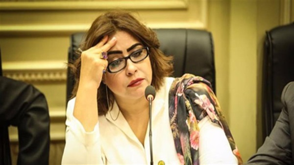 غادة عجمى عضو لجنة الشئون الخارجية بمجلس النواب