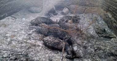 السيطرة على حريق