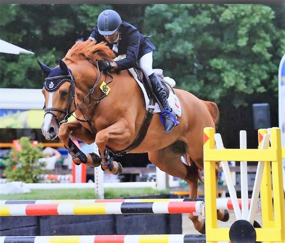 فرسان سموحة