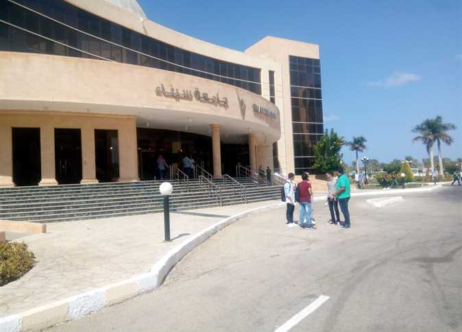 جامعة سيناء  جامعة سيناء