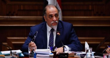 رئيس ائتلاف دعم مصر