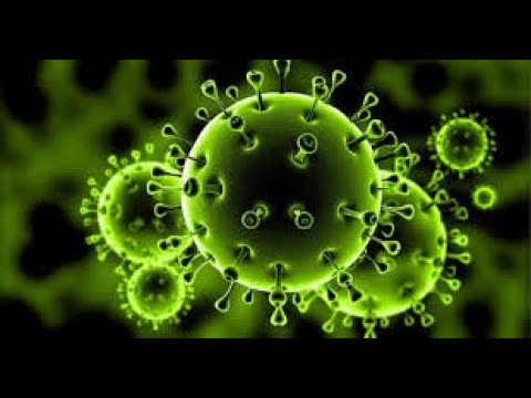 السلالة الجديدة من كورونا