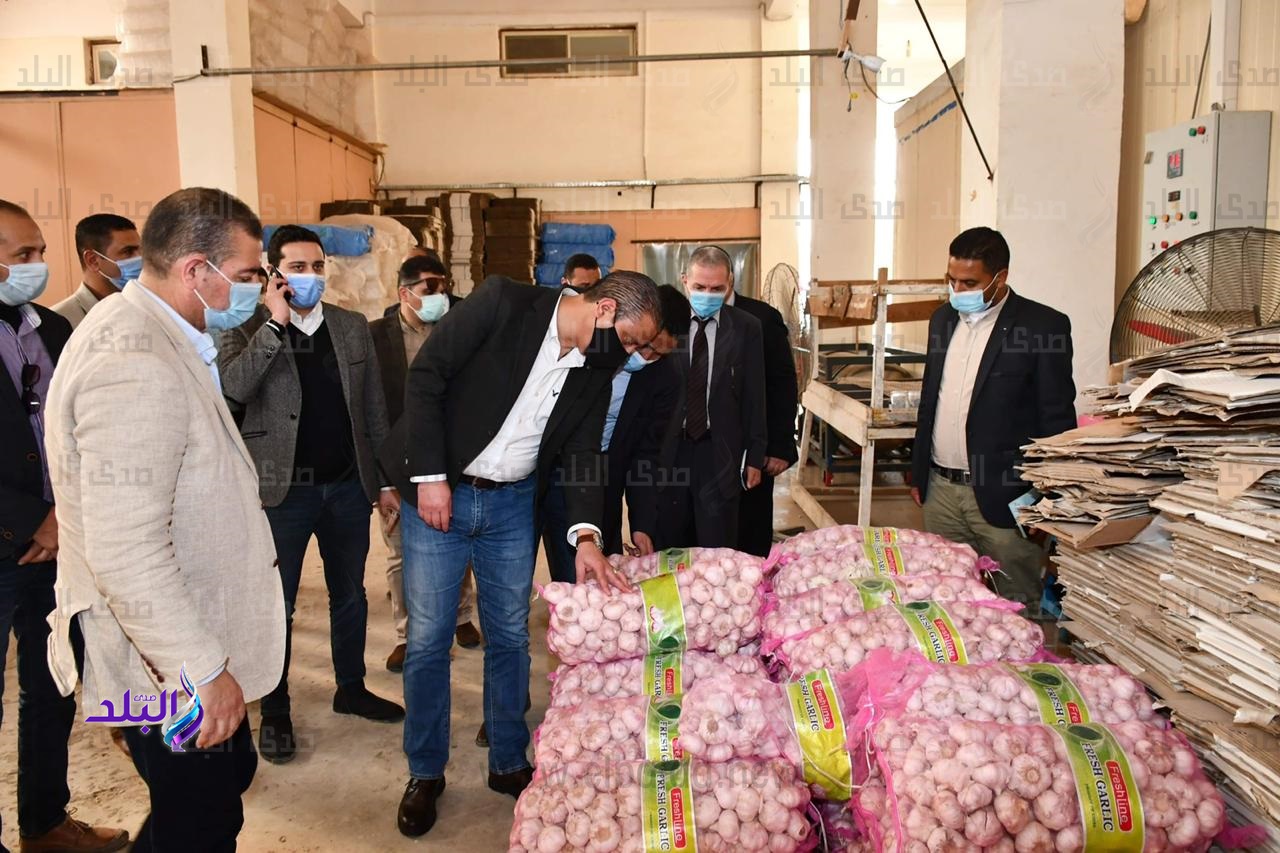 الدكتور أحمد الأنصاري محافظ الفيوم