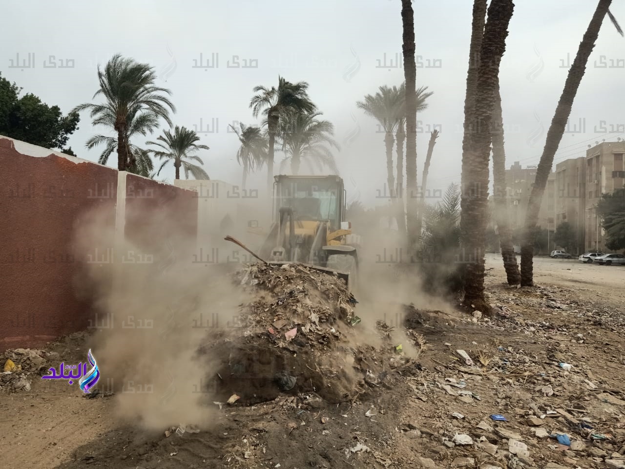 حملة مكبرة للنظافة