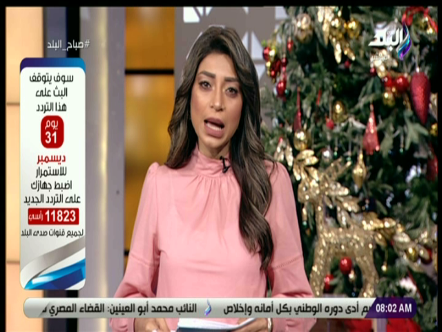 الإعلامية لميس سلامة 