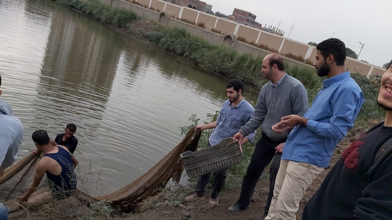 أستاذ بعلوم الأزهر: مصر أصبحت رائدة فى مجال الاستزراع السمك