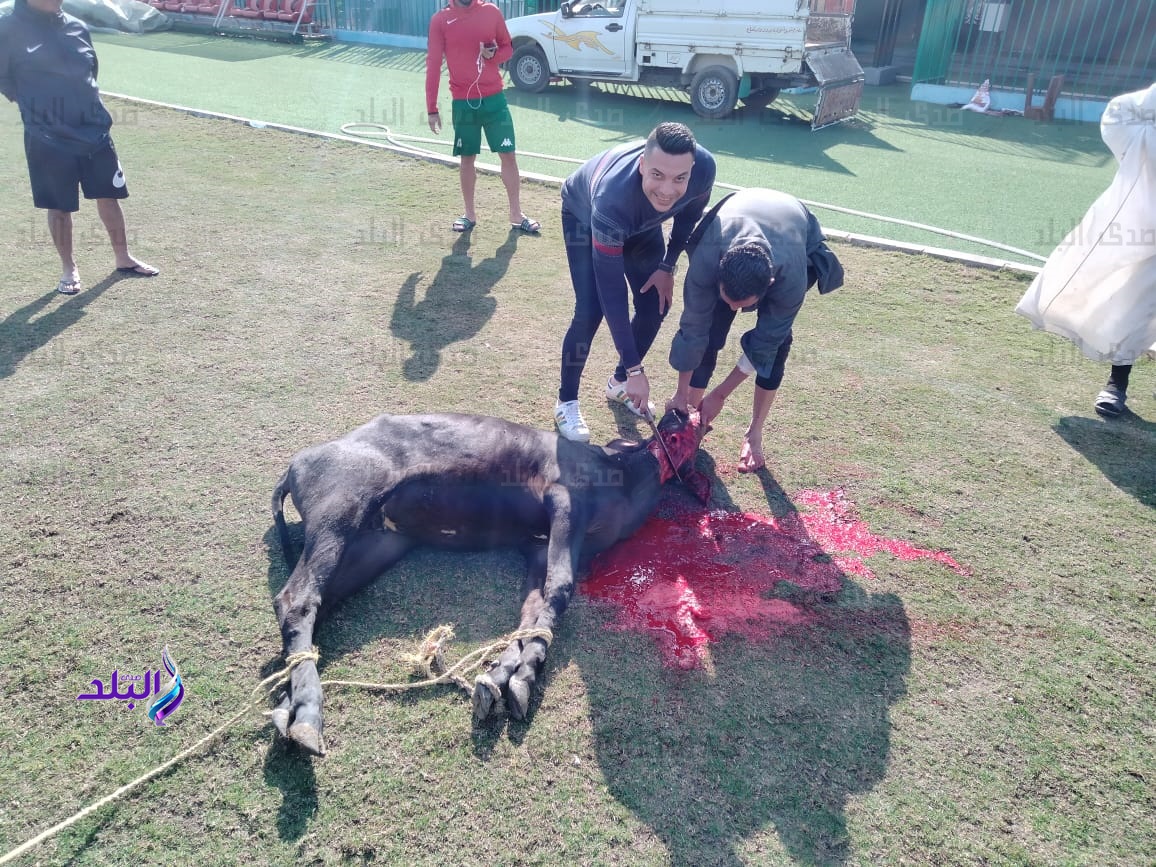 السكة الحديد 