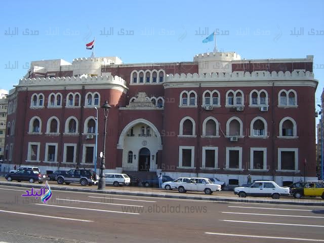 جامعة الاسكندرية