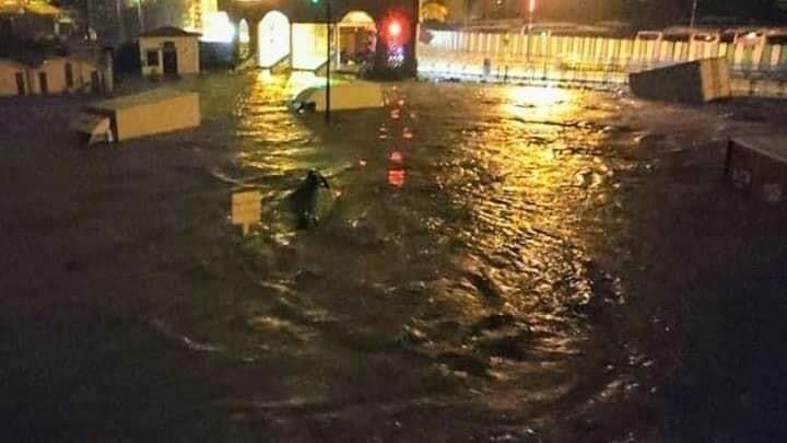 أمطار الشتاء 